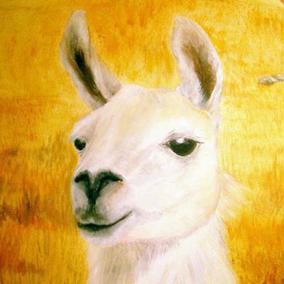 Giraffen und Lama Detailansicht 2